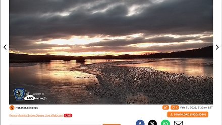 Snapshots Gallery Promote Image